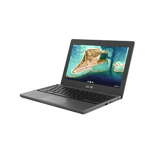 Chromebook ASUS CR1100CKA-GJ0250 11.6