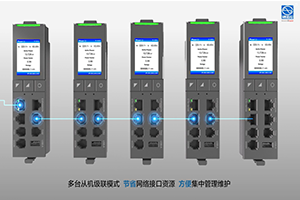PDU PRO Vertical 16A Monitoreable 6
