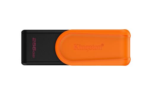 Pendrive Kingston 256GB USB 3.2 Gen 1 DataTraveler 1