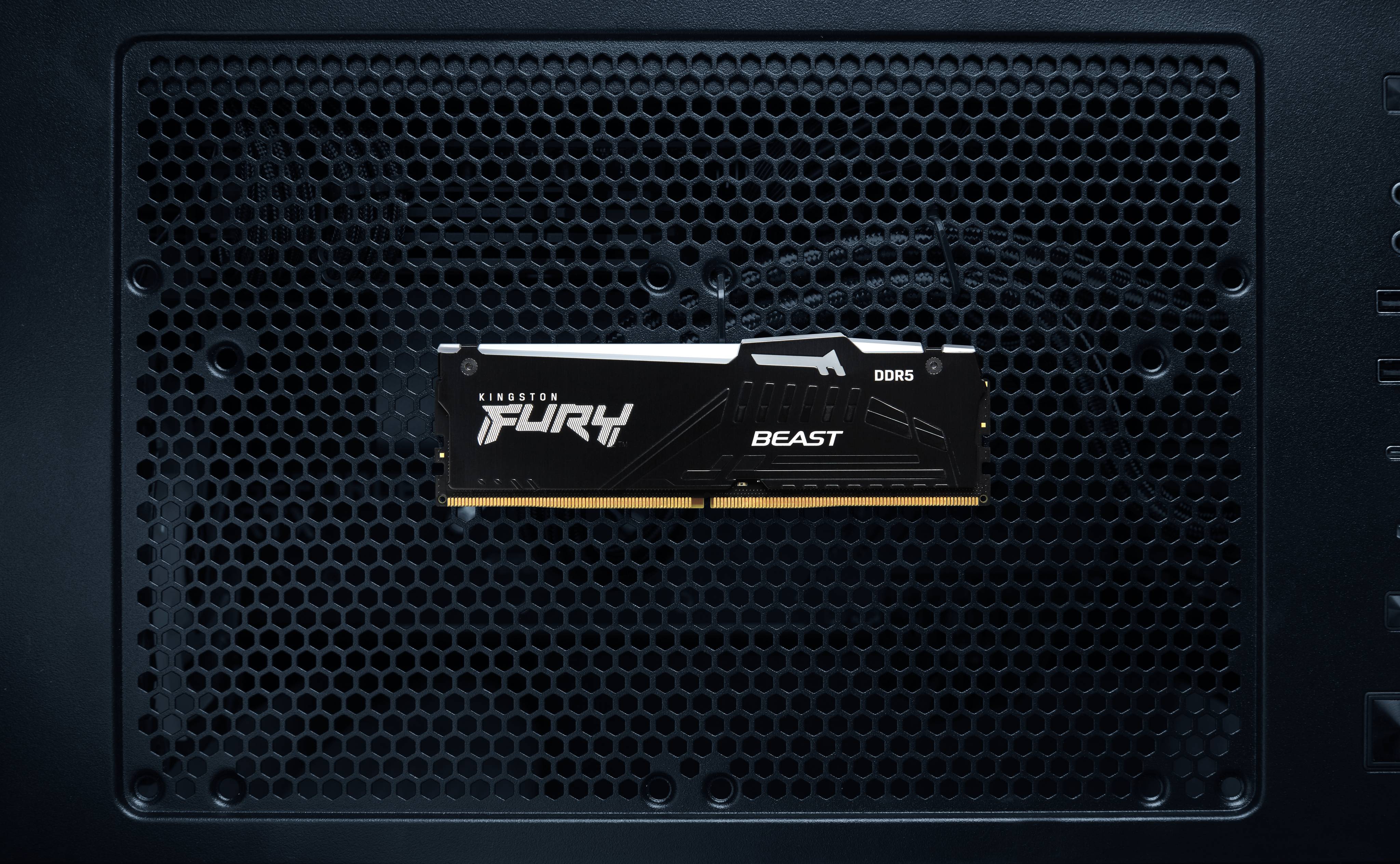 Memoria RAM DDR5 64GB 5600MHz CL36 Kingston Fury Beast RGB  Alto Rendimiento Gaming 12