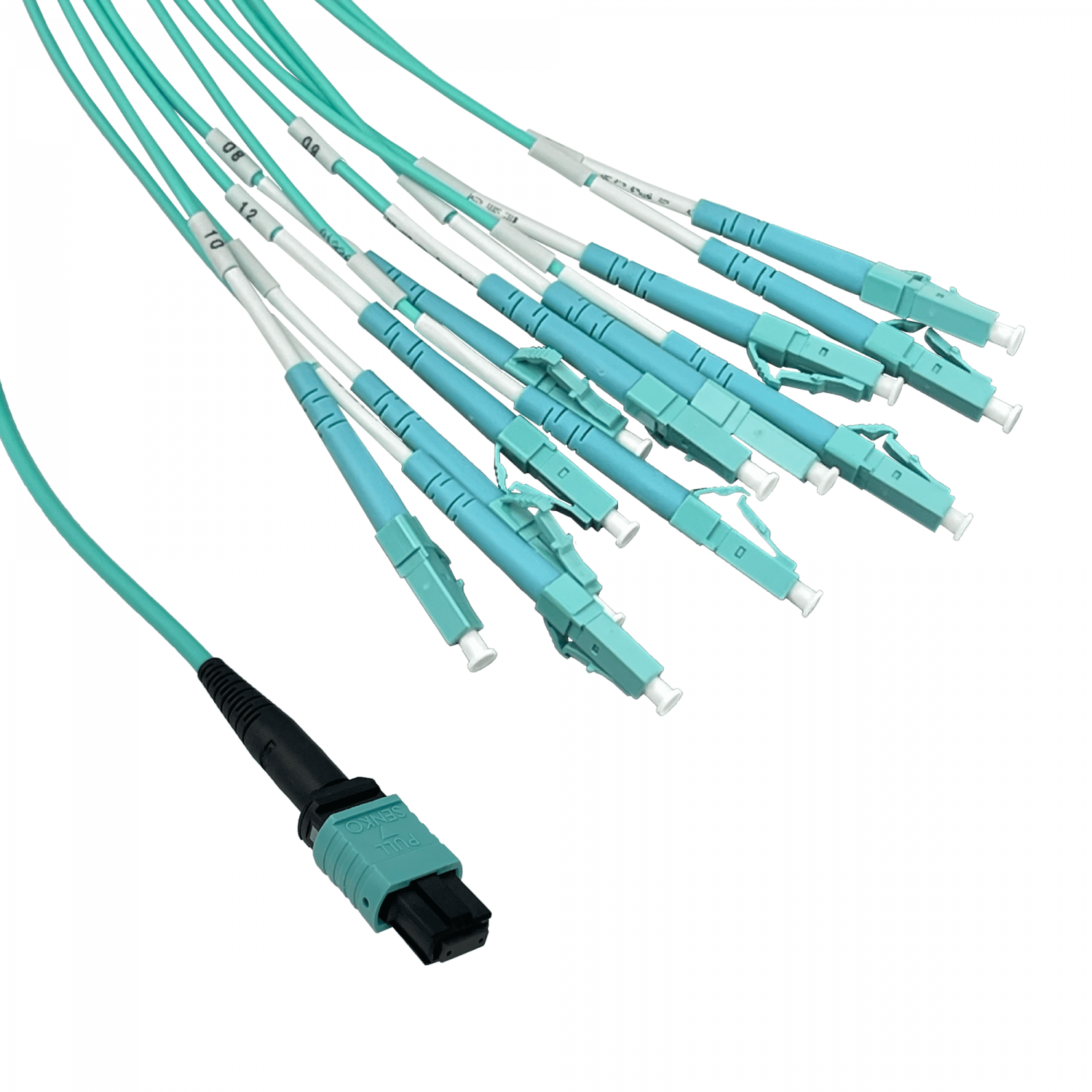 6mt OM3 12-LC/1,5mt 1-MPO/4,5mt MultiModo MM Jumper Cable Fibra 2