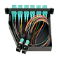 Cassette de Fibra Óptica Pre-conectorizado OM3 24-LC a 2-MPO/M para Panel 1U - CALCOM3 - Miniatura 8