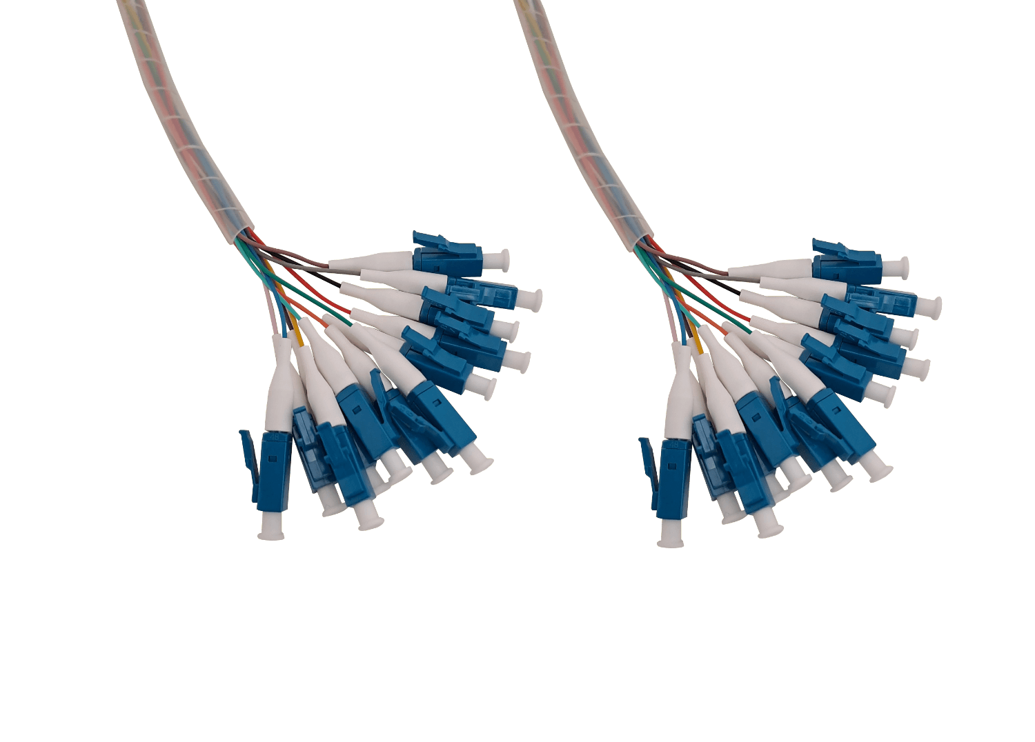 3mt 12xLC-LC LSZH MonoModo SM Interior Trunk Jumper Cable 12-Fibras 3