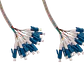 3mt 12xLC-LC LSZH MonoModo SM Interior Trunk Jumper Cable 12-Fibras - Miniatura 3