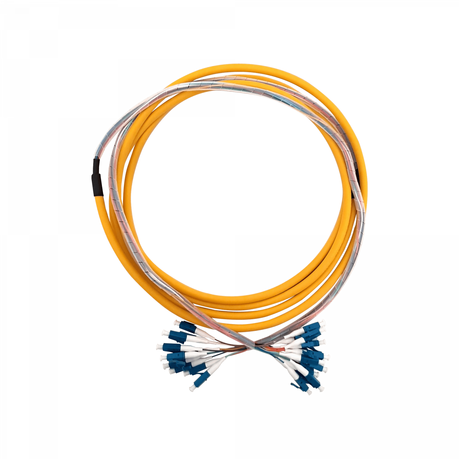 3mt 12xLC-LC LSZH MonoModo SM Interior Trunk Jumper Cable 12-Fibras 4