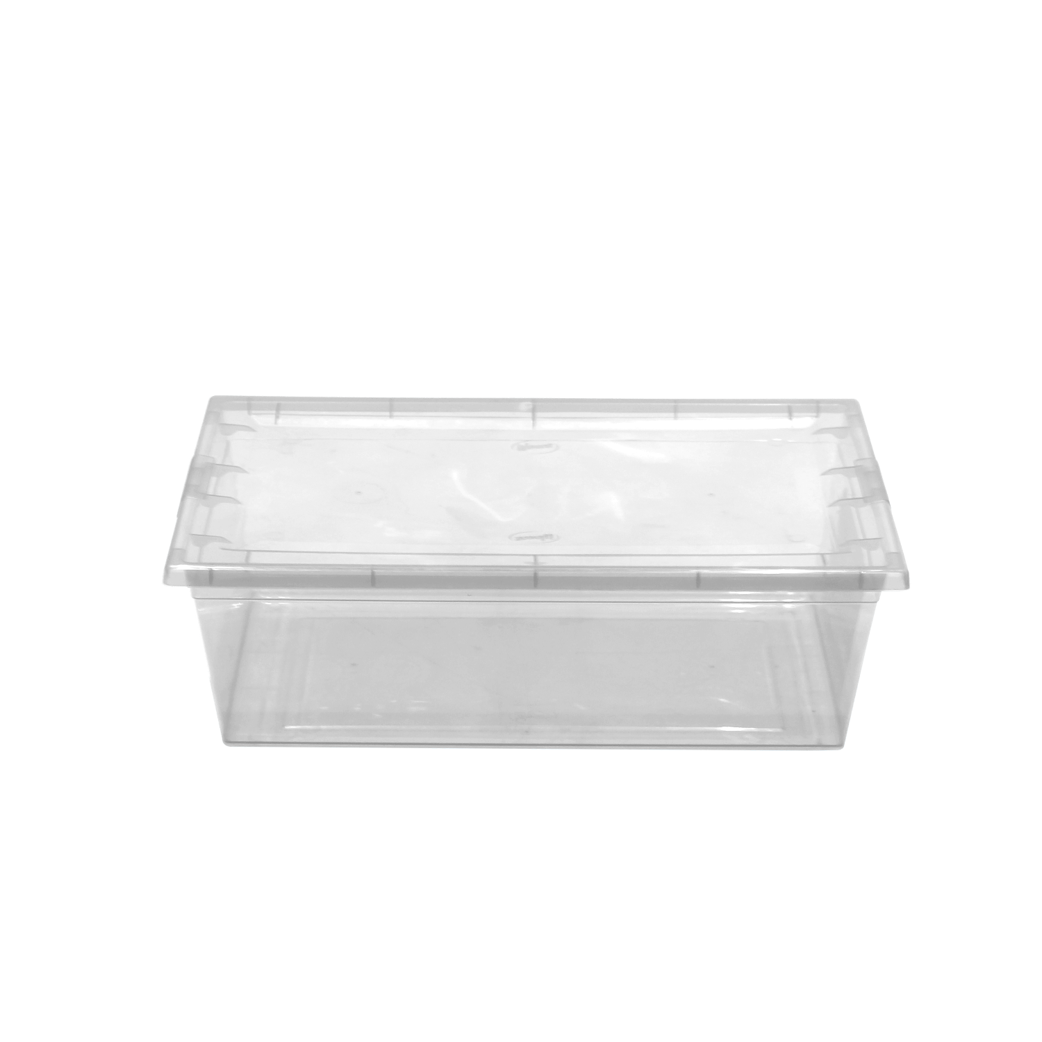 WENCO Caja c/Tapa 6Lts Transparente 21x34cm 11cm-Alt Rectangular 4