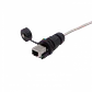 Copla y Cabeza RJ45 STP FTP Exterior M20 IP67 p/Caja Hembra-Hembra - Miniatura 1