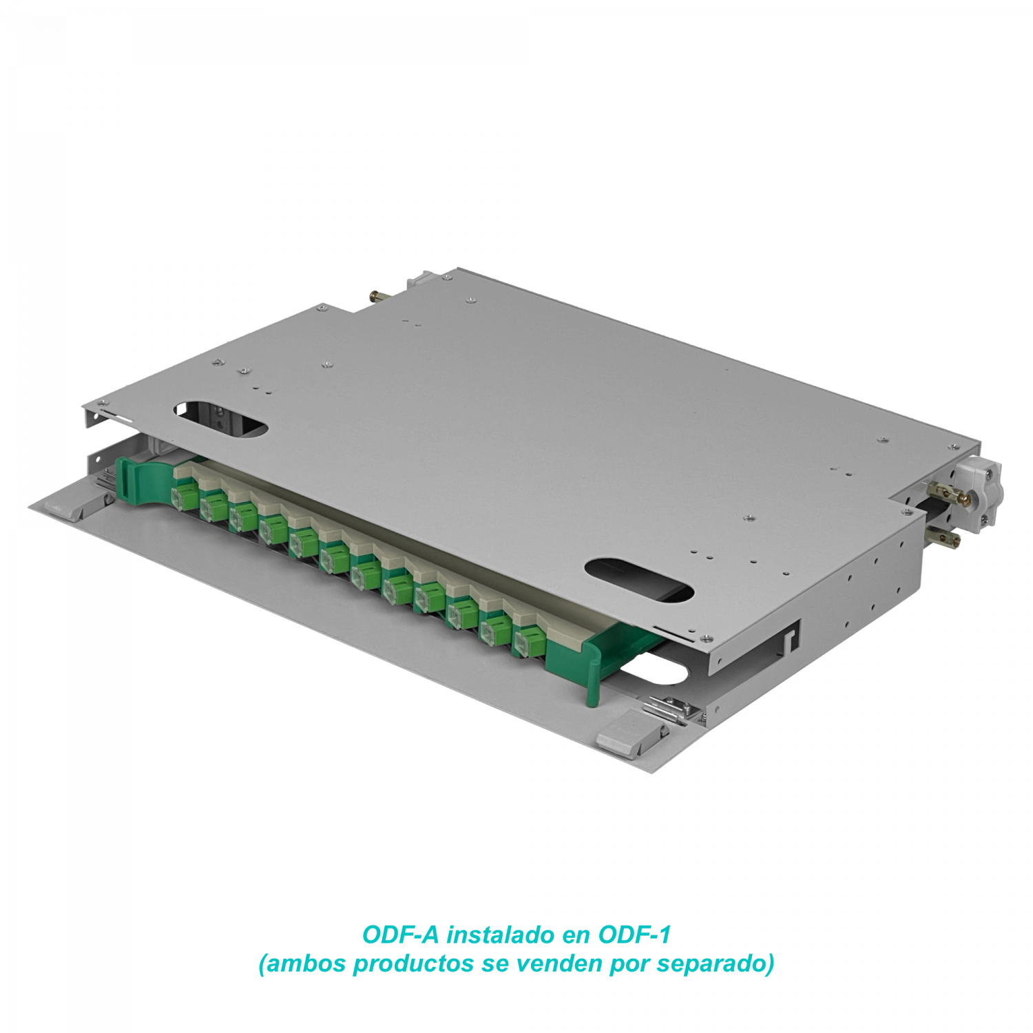 Cabecera 1U-Rack Metalica tipo ODF para 1 bandeja 3
