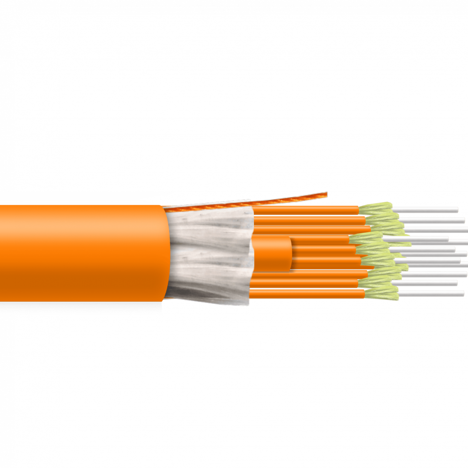 Cable de Fibra Óptica Multimodo OM1 12 Fibras 62.5/125µm LSZH Interior - CFMT12 1