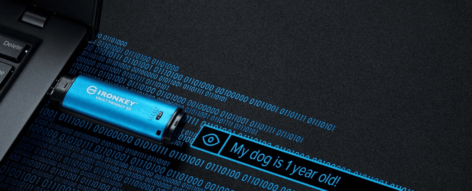 Pendrive Kingston IronKey VP50, 32GB, Encriptación XTS-AES 256 bits, USB 3.2, Azul 2
