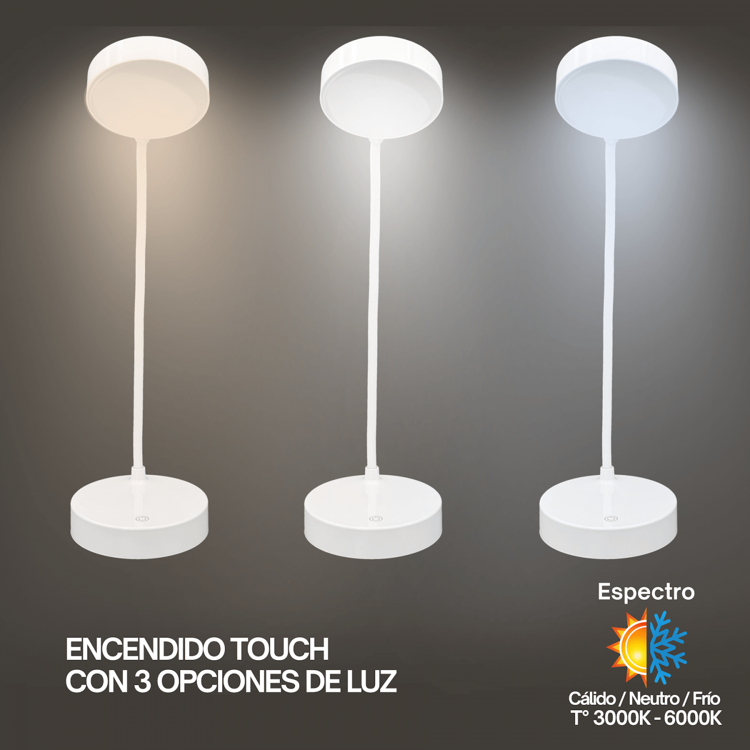 Lampara LED Dimeable-Touch inc-Pila 18650 Litio Recargable USB-AM 1