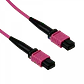 Jumper Fibra LSZH MM  UI 3mt MPO-MPO 12-Fibras Type-B OM4 Multimodo  - Miniatura 3