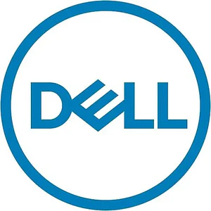 Dell - Kit del cliente - SSD - Read Intensive - 3.84 TB - hot-swap - 2.5