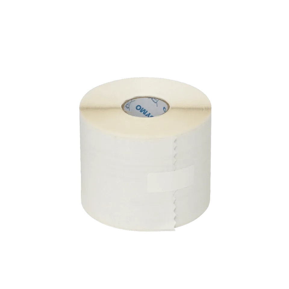 Etiquetas 57x102mm  250x  p/69110 Dymo 1
