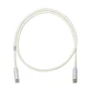 Panduit NetKey - Patch cable - RJ-45 (M) to RJ-45 (M) - 2.44 m - UTP - CAT 6 - IEEE 802.3af/IEEE 802 - Miniatura 1