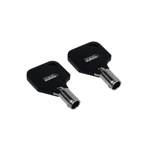 Chapa Electrica 2-Pin 12mm Llave Seguridad req-Soldar-Cables 0,5A 250V