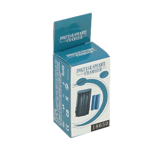 Cargador Solo-Litio 2-Pilas 4,2V 2000mA 100-240VAC USB-AH Li-ion 18650
