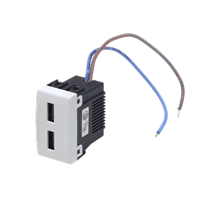 KALOP Modulo 2xUSB-AH 5V 2A 10W 100-240VAC req-Bastidor KS40490