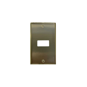 Placa 1 Puesto Modulo Aluminio c/Tornillos BTICINO 