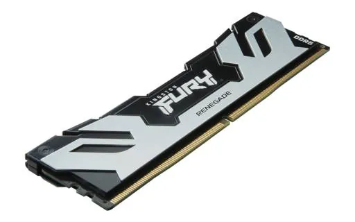 Memoria Ram DDR5 48GB 6000MT/s CL32 FURY Renegade Silver/Black XMP, Non-ECC Unbuffered DIMM 4