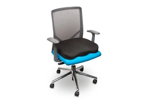 Cojin de Asiento Ergonómico Kensington K55805WW 3