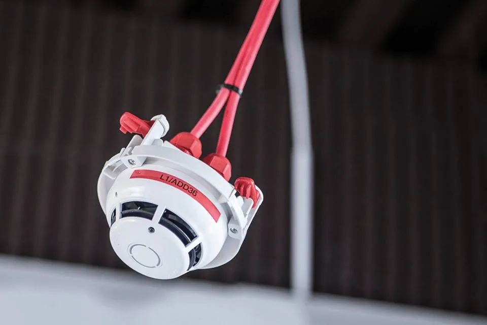 Rotuladora Electrónica Profesional Brother PT-E110VP 7