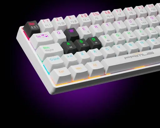 Teclado Mecánico Primus Ballista61T PKS-060W-S, 61 Teclas, Switches Red, Retroiluminación RGB, USB-C 4