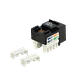 Conector Keystone Punchable  Negro Hembra RJ45 Cat5E U/UTP  - Miniatura 2