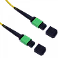 3mt MPO-MPO 12-Fibras Type-B MonoModo SM Jumper Cable Fibra LSZH 9/125 - Miniatura 2