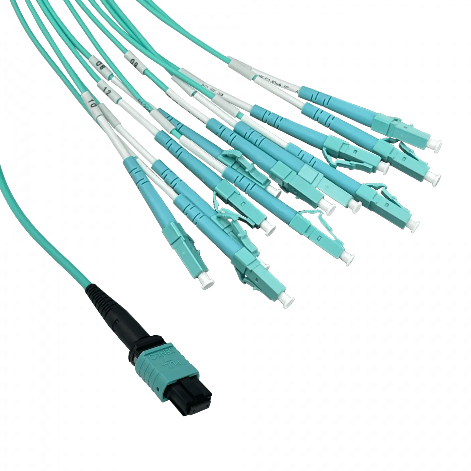 6mt OM3 12-LC/1,5mt 1-MPO/4,5mt MultiModo MM Jumper Cable Fibra 2