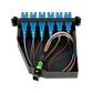Cassette de Fibra Óptica Pre-conectorizado SM 12-SC a 1-MPO/M para Panel 1U - CASCSM - Miniatura 6