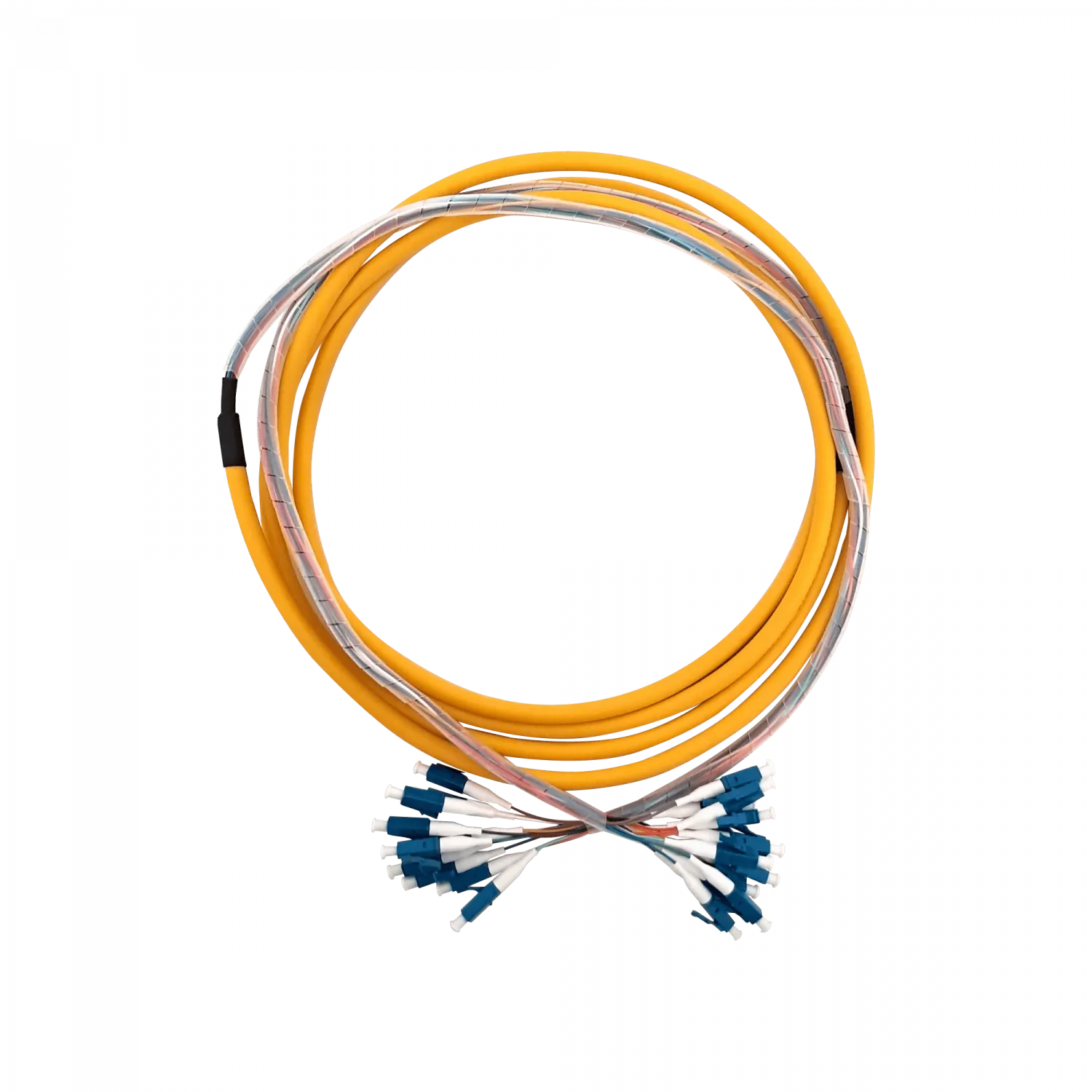 3mt 12xLC-LC LSZH MonoModo SM Interior Trunk Jumper Cable 12-Fibras 4