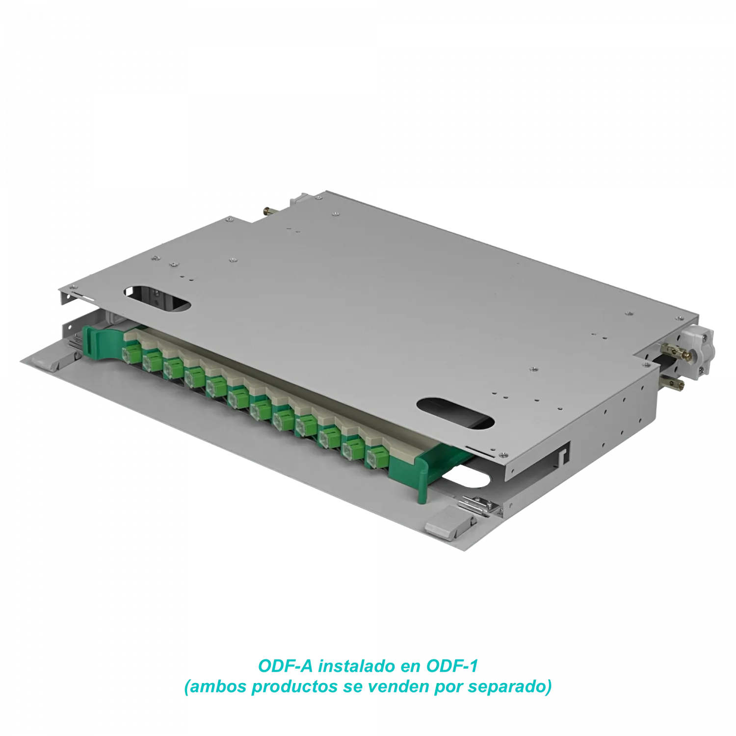 Cabecera 1U-Rack Metalica tipo ODF para 1 bandeja 3
