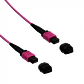 Cable Fibra Ubiquiti JF4MM5U MPO-MPO 12 fibras OM4 MM LSZH 5m Type-B jumper duplex - Miniatura 2
