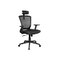Silla Ejecutiva XTECH Avigon XTF-OC414, Color Negro - Miniatura 3