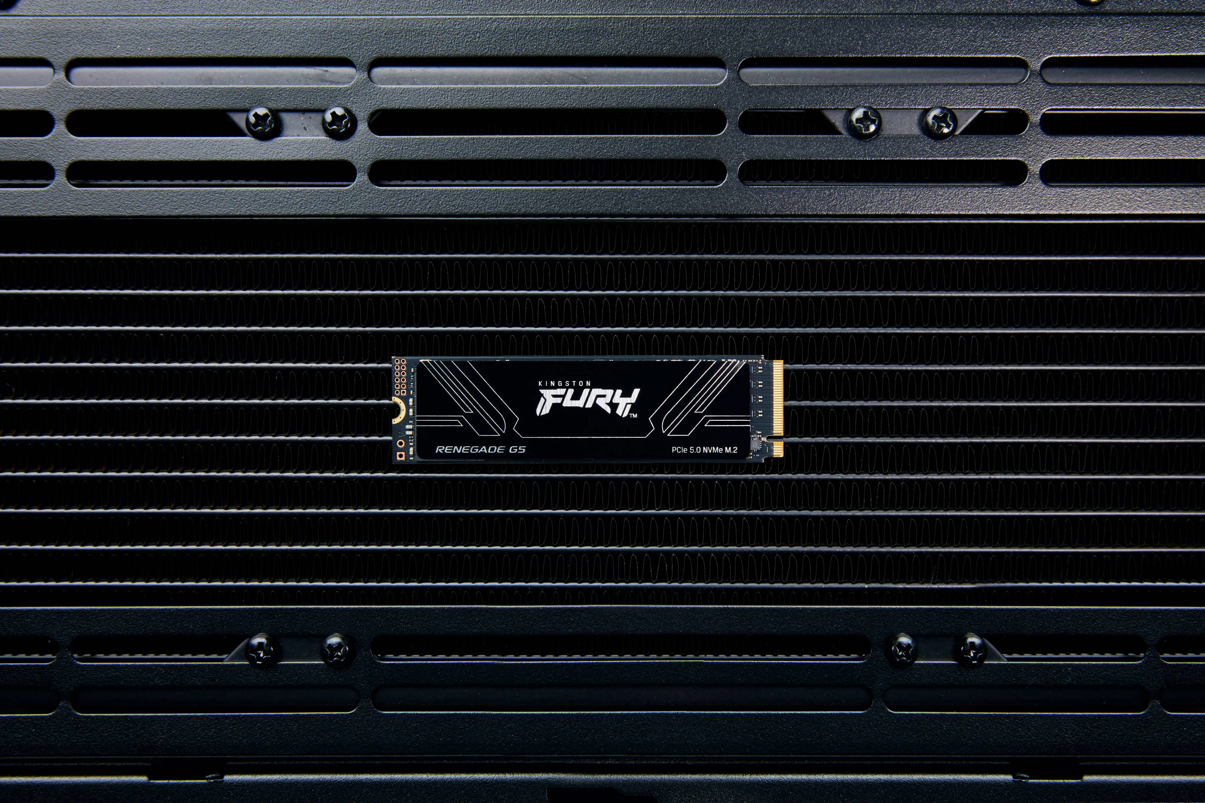 Unidad SSD Kingston FURY Renegade G5 1TB, M.2 2280, PCIe 5.0 NVMe 11