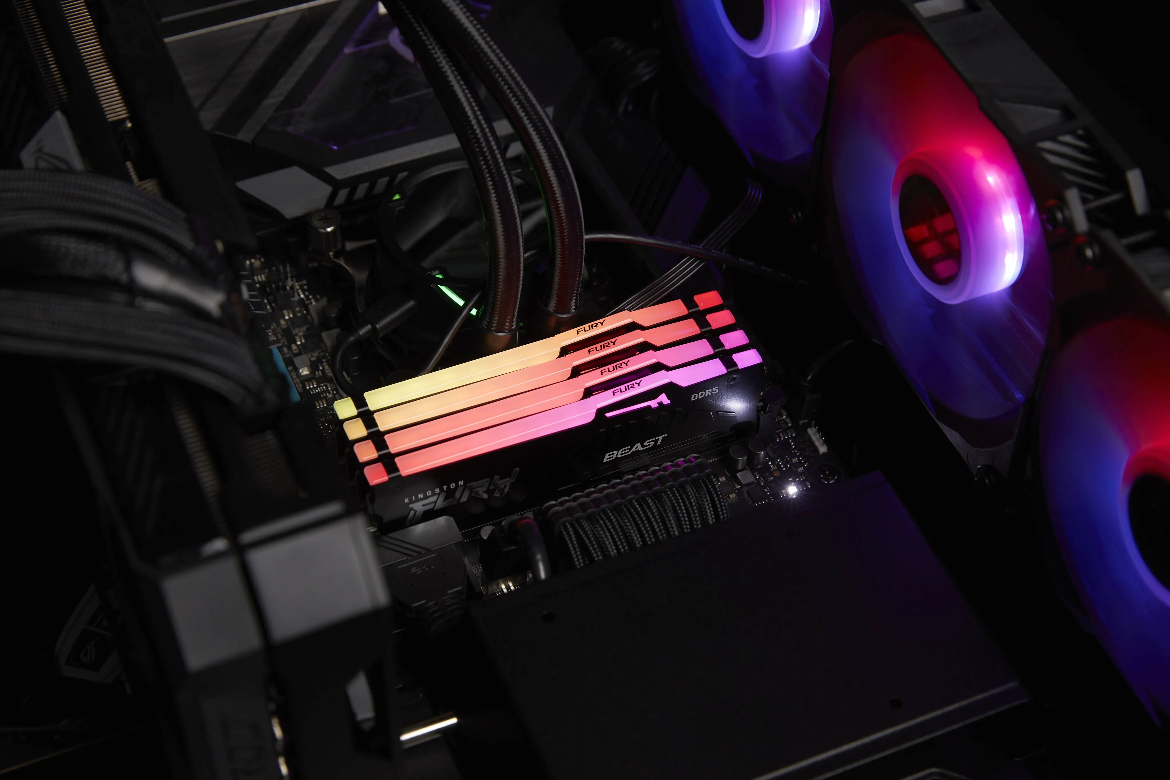 Memoria Ram DDR5 8GB 5600MT/s Kingston FURY Beast RGB CL36 DIMM 11