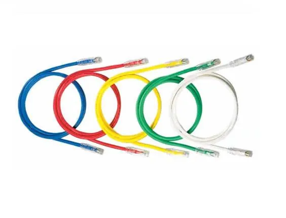 Cable de Red Panduit 0.3 Metros Cat 6 RJ45 Azul 1