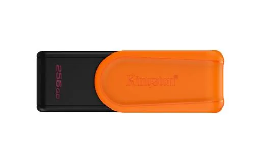 Pendrive Kingston 256GB USB 3.2 Gen 1 DataTraveler 1