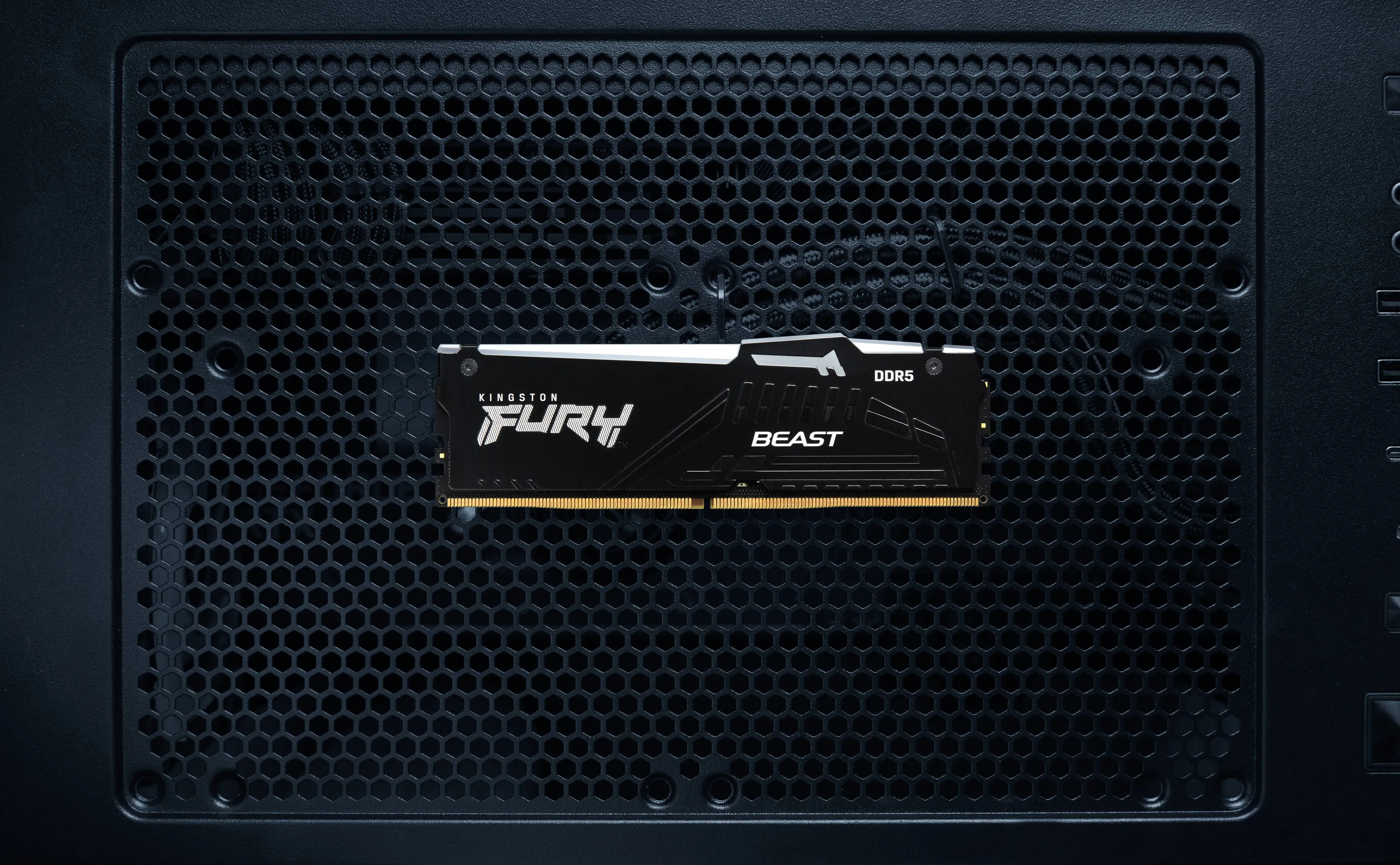 Memoria RAM DDR5 64GB 5600MHz CL36 Kingston Fury Beast RGB  Alto Rendimiento Gaming 12