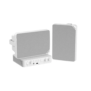 Kit de Audio Hikvision DS-QAE1KA80120-2, Amplificador 80W, 2 Parlantes 20W, 2 Zonas, Bluetooth 5.0