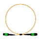 Cable Fibra Óptica MPO-MPO 50cm OS2 12 Fibras Tipo B LSZH Monomodo - Miniatura 1