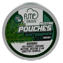Pouches Wintergreen Fume QRJOY