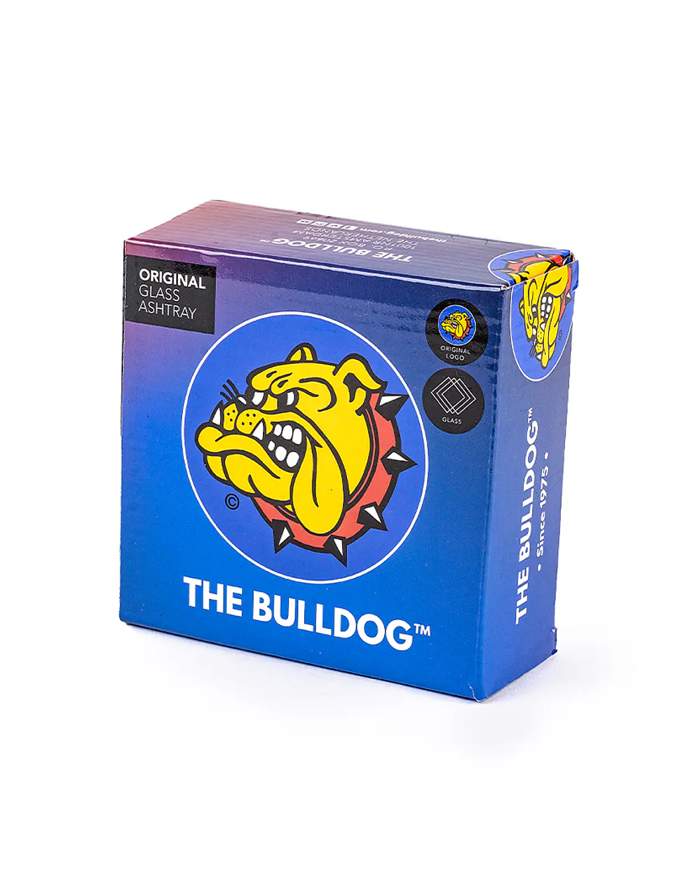Cenicero Bulldog de vidrio - Color V2 2