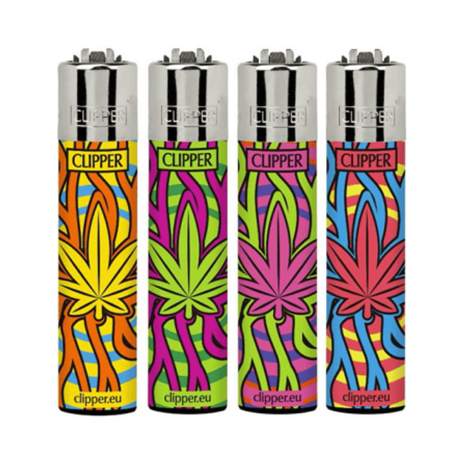 Clipper Leaves Shock 1