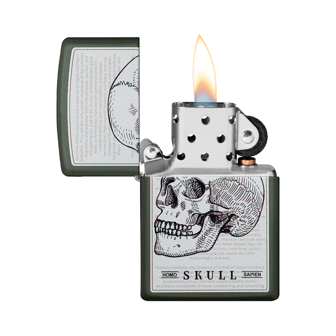 Encendedor Zippo Skull Design 3