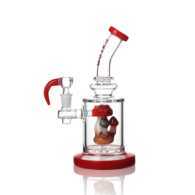 Calvo Glass Rig Hongo 22cm 8