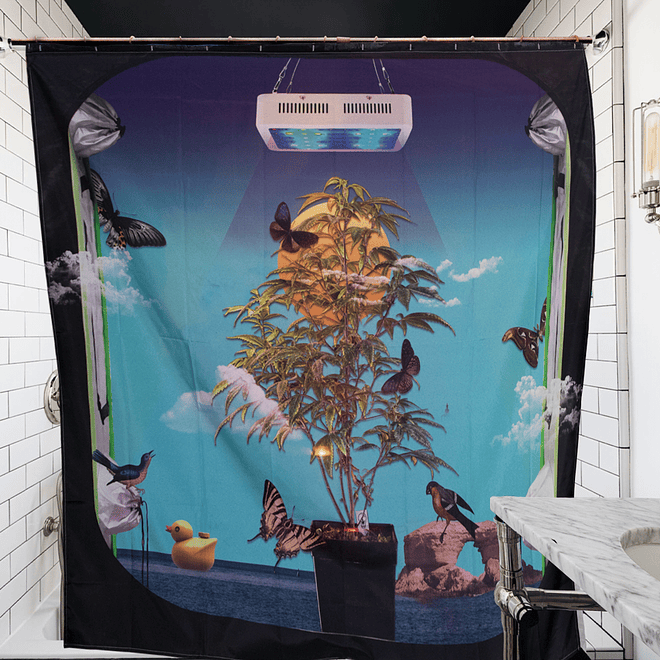 Cortina de baño En volá - Envollage 1