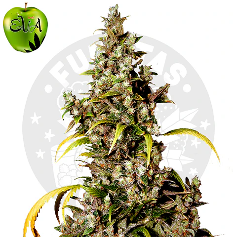 Eva Seeds Monster Fem
