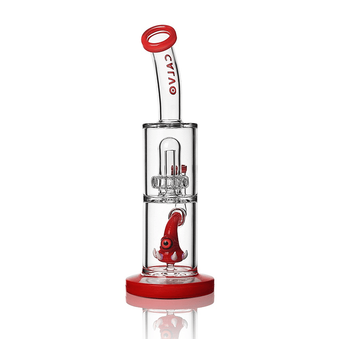 Calvo Glass Shower Head Monster 30 cm 6